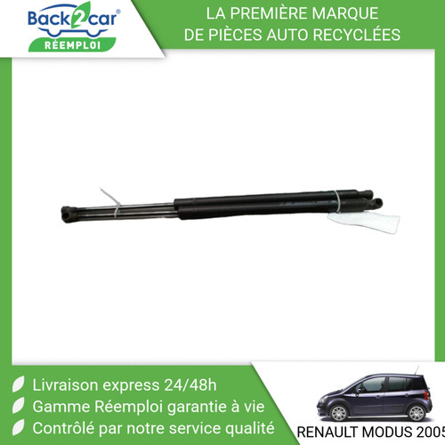 Verin hayon g renault - hayon,