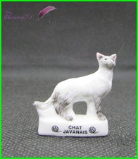 Feve Les Races de Chat Cat