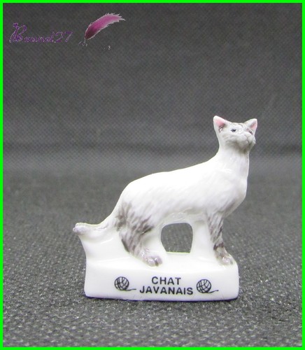Feve les races chat cat - de,