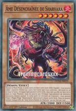 Yu-Gi-Oh! Âme Désenchaînée de Sharvara : C DUNE-FR019