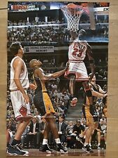 Affiche Air Jordan 13 Bulls