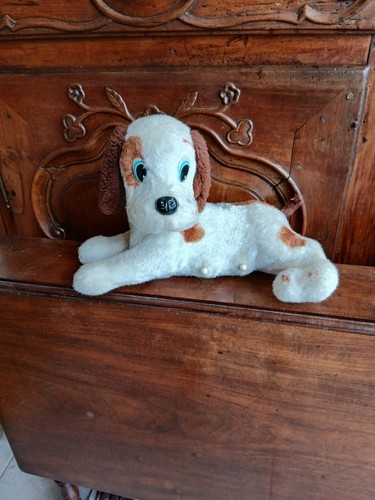 Collection ancien chien tete - collection,