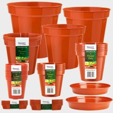 Plastique plante pots rigide - plante,