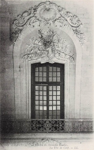 Chantilly tete de cerf - chantilly,
