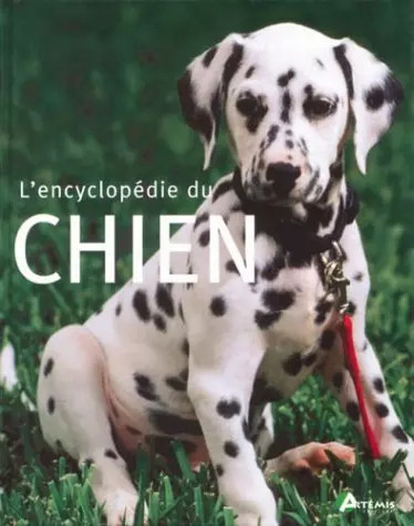 Encyclopédie chien - encyclopédie, du