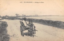 CPA 45 EN SOLOGNE ATTELAGE DE CHIEN (attelage chien 