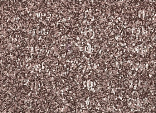 Tissu danse paillettes - tissu,