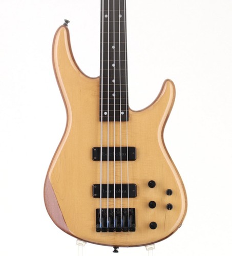 Moon mbc fretless mod - mbc-5,