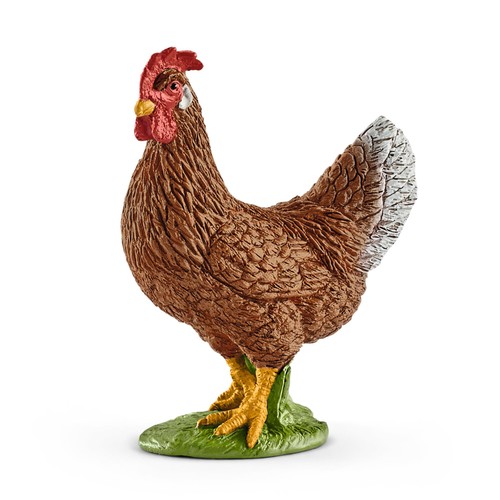 17081 poule partir - à, ans