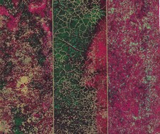 Tissu thermocollant 19x17 cm