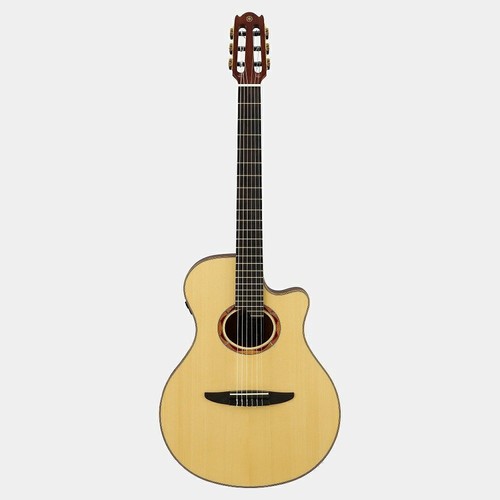 Guitare électrique acoustique