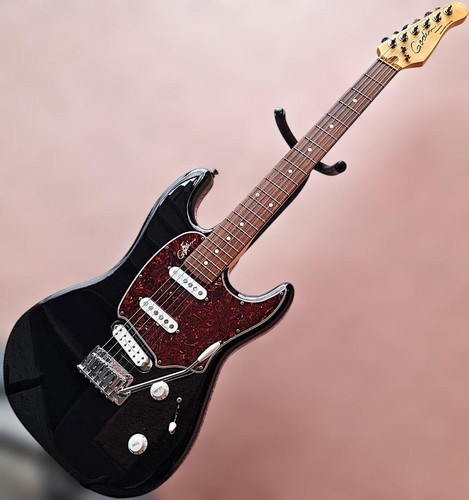 Godin progression plus - progression,