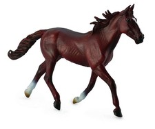 Modèle De Cheval Étalon