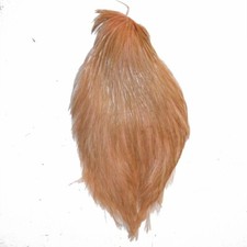 Plume de cou de coq beige /