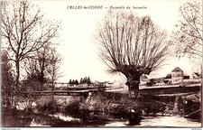 16590 cpa 02 Celles les Condé - Passerelle du Surmelin