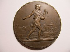 Médaille Comice Agricole et Viticole d'Auxerre . Bronze .