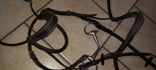 Ensemble bridon licol avec - licol,