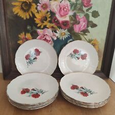 Lot 12 Assiettes plates St