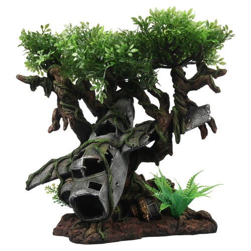 Terra della terrarium - della,