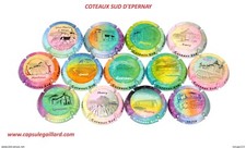 News - Série de 13 Capsules