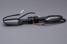 Paire de Clignotants Arrière