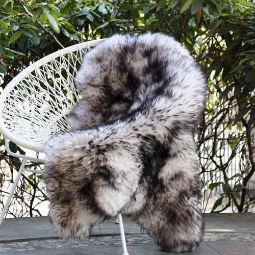 Peau mouton tondu - mouton,