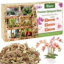 150g Sphaigne pour Plante