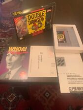 Double Dragon The Shadow Falls