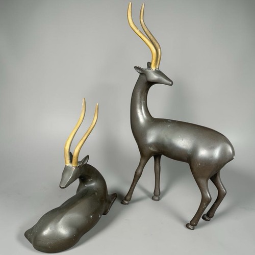 Rare paire gazelles antilopes - rare,