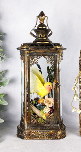 Lovebird antique style display - lovebird,