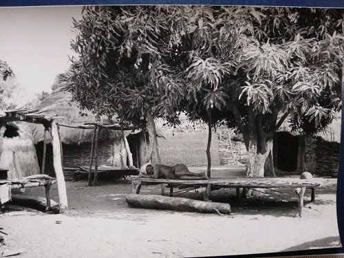 Senegal 1981 badi - 1981, woman