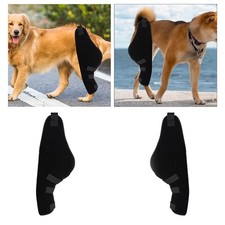 Attelle de jambe de chien
