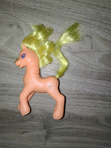 Mon petit poney little - petit, my