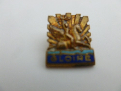 Insigne boutonnière marine - insigne,