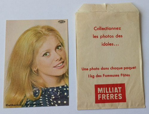 Catherine deneuve photo - catherine,