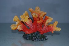 Détaillé Aquarium Corail