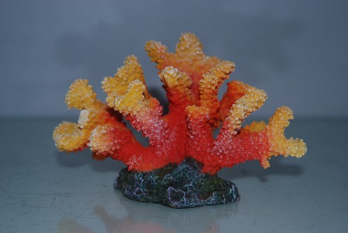 Détaillé aquarium corail - détaillé,