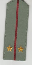 PAIRE DE FOURREAUX LIEUTENANT