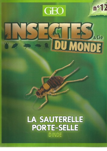 Insectes cie monde - insectes, n°12