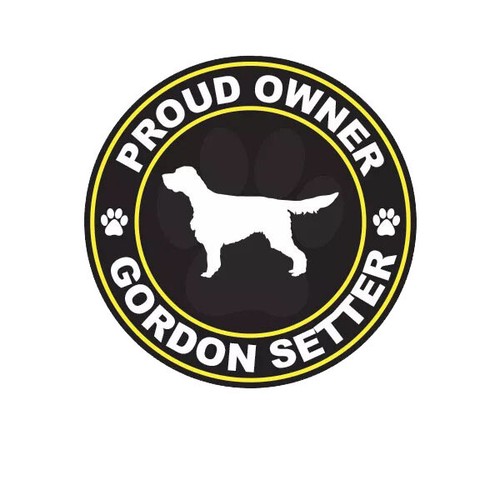 Proud owner gordon - gordon, setter