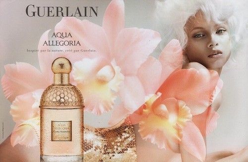Publicité papier parfum - publicité,