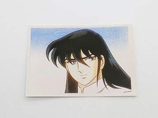 Les Chevaliers Du Zodiaque N