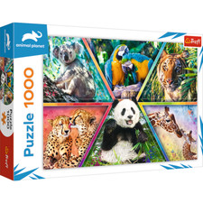 Puzzle 1000 Pièce Animal Royaume Koala Perroquet Tigre Girafe Panda Léopard