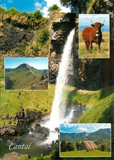 CANTAL Salins Puy Mary Vache