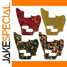 JakeSpecial – Custom