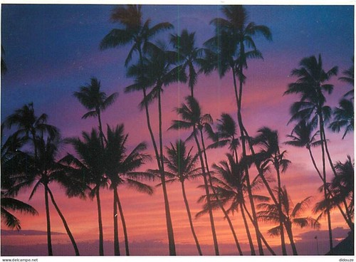 Carte postale etats unis - unis,