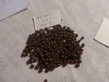 lot de 300 perle ancienne marron chocolat perle de Briare olive ovale