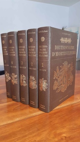 Dictionnaire pratique - dictionnaire,