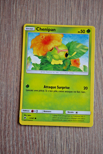 Carte pokémon chenipan - carte,