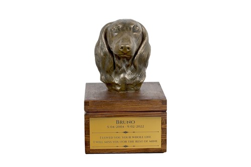 Chien teckel poil long - chien,